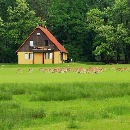 Apartment Wildpark Johannismuehle *