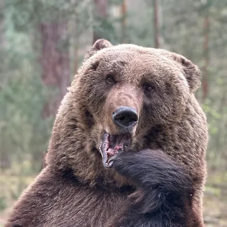 Wildpark Johannismuehle *