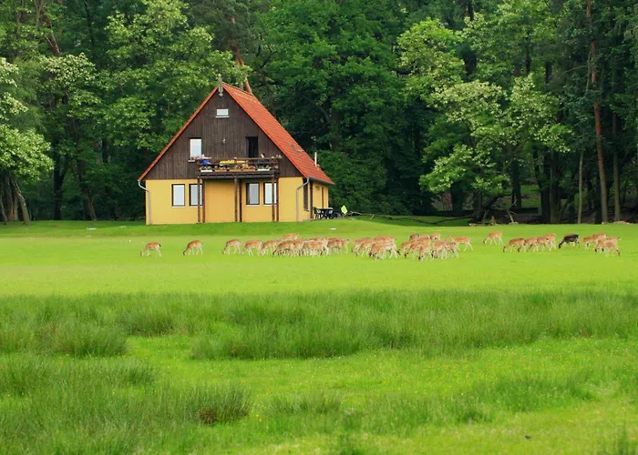 Appartement Wildpark Johannismuehle *