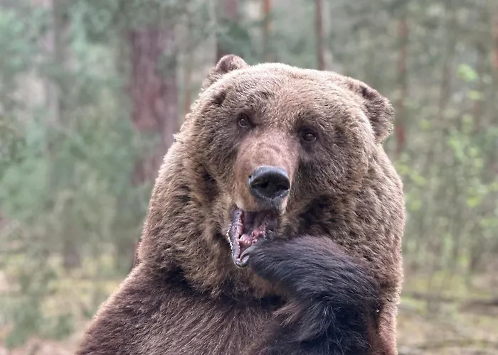 Wildpark Johannismuehle *